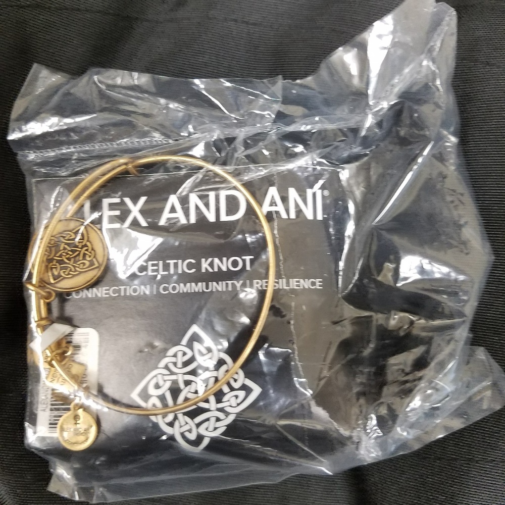 Alex and Ani Celtic Knot Charm Bangle - Rafaelia